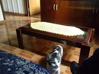 Doce Sabor - Foto 1