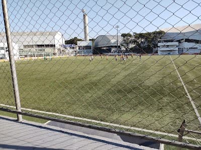 Estádio Trieste - Foto 2
