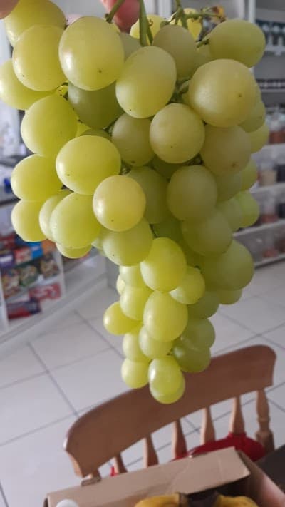Gianni Casa Gourmet - Emporium Bistro - Foto 6