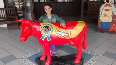 Restaurante Parque de Rodeio - Foto 4
