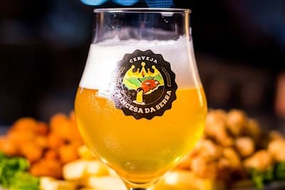 Cervejaria Serra Forte - Foto 10
