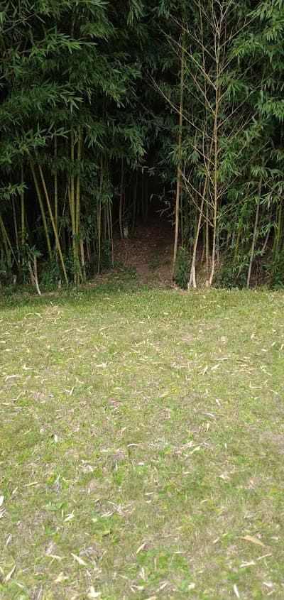 Pesque e Pague Velho Pai - Foto 4