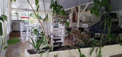 Pesque e Pague Velho Pai - Foto 8