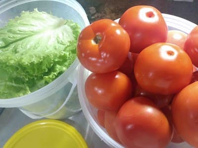 Lekão lanches - Foto 6