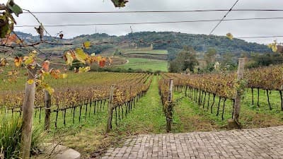 Restaurante Maria Valduga | Casa Valduga - Foto 4