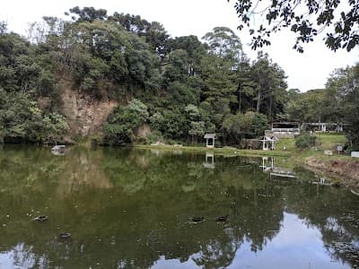 Pesque e Pague Mina D'Água - Foto 8