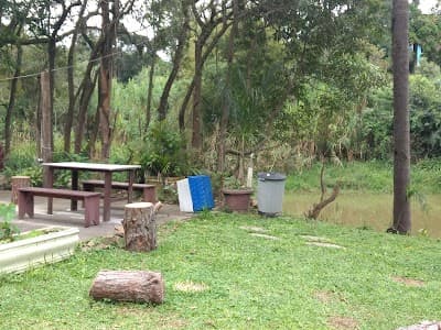 Pesque e Pague Mina D'Água - Foto 10