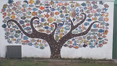Cois'e'losa - Foto 5