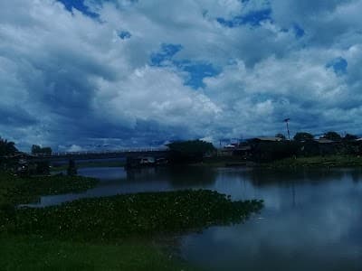 Barra dos Quirinos ( Vendas de Peixes) - Foto 3