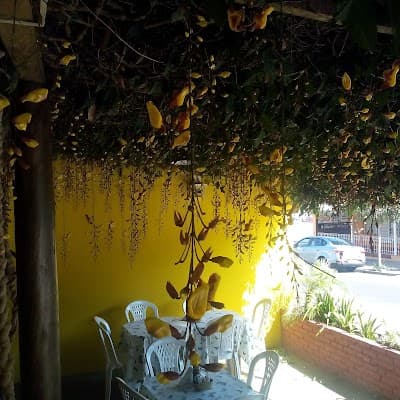 Restaurante Quintal da Leli - Foto 10