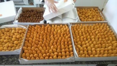 Nalva Salgados - Foto 8
