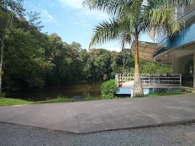 Restaurante Mãos Peruanas - Foto 2