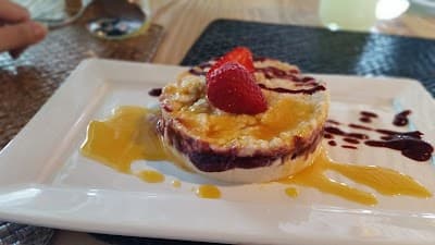 Nutri Gourmet - Foto 2