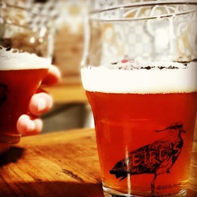 Birds Beer - Foto 6