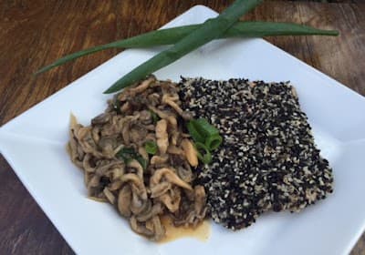 Santo Congelado - Foto 6