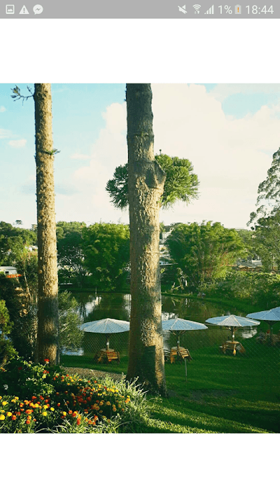 RECANTO TANGARÁ - Pesque e Pague | Eventos | Restaurante - Foto 3