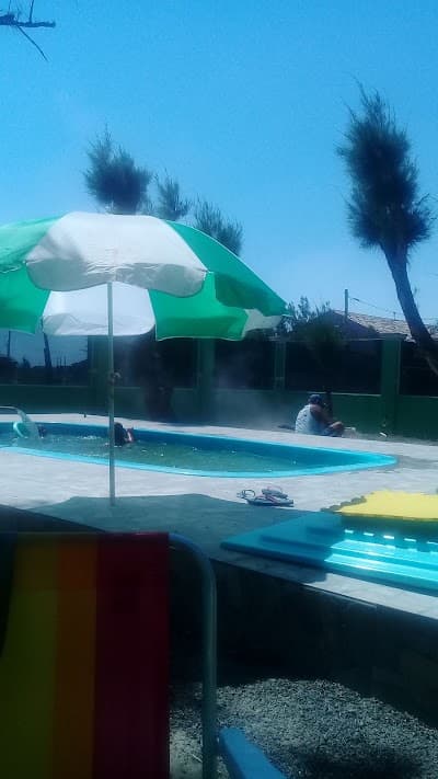 Assados Salinas - Foto 10