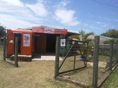Galo Burguer - Foto 2
