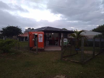 Galo Burguer - Foto 7