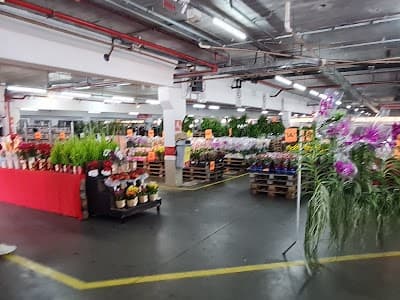 Brasão Supermercado Loja Avenida - Foto 7