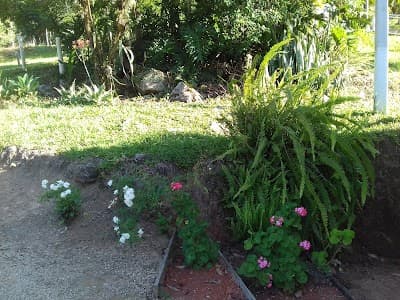 Cachoeira Recanto das Palmeiras - Foto 5