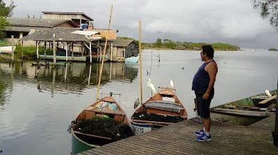 Restaurante Mar que Brilha frutos do mar - Foto 4