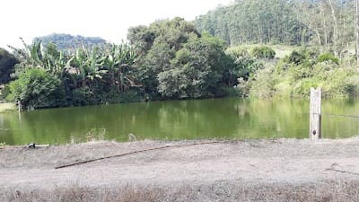 Pesque e Pague Bloemer - Foto 4