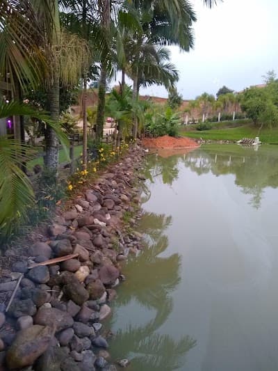 Pesque Pague Beira Rio São Ludgero - Foto 4