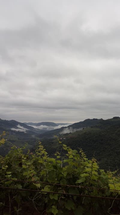 Casa Dequigiovanni - Espaço Enogastronômico - Foto 10