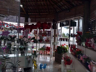 Floricultura Veneto - Foto 2