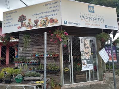 Floricultura Veneto - Foto 4
