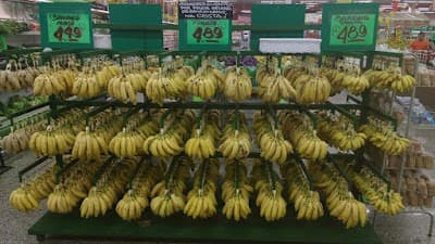 Baltazar Distribuidora Frutas - Foto 10
