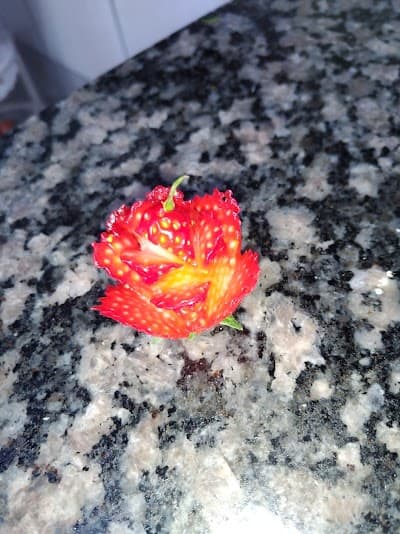 Mais Q Pizza - Foto 3