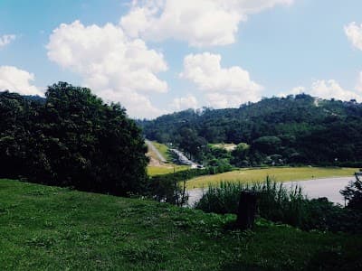 Bar Mairipora - Foto 2