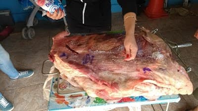 Sorveteria La Tasci - Foto 7