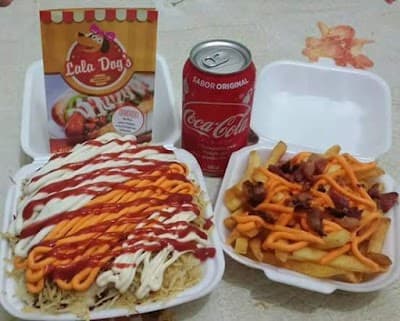 Lala Dogs - Foto 9