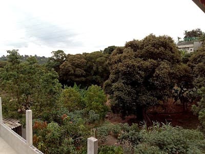 Quinta nordestina - Foto 7