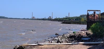 Rebuliço da Beira - Foto 7