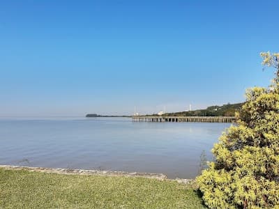 Caisinho - Foto 5