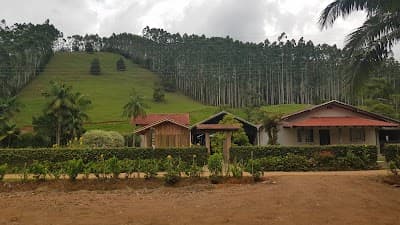 Restaurante da Horta p/ Mesa - Foto 4