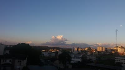 Galeto Feltrin - Foto 8