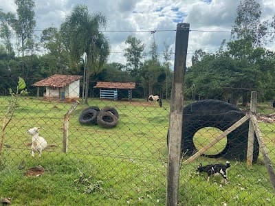 Restaurante Fazenda Campo Largo - Foto 7