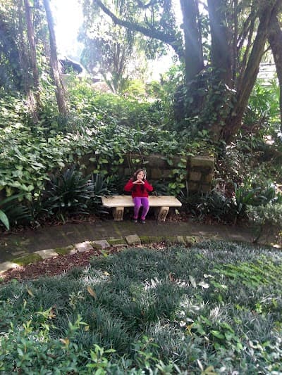 Lancheria Jardim da Paz - Foto 6