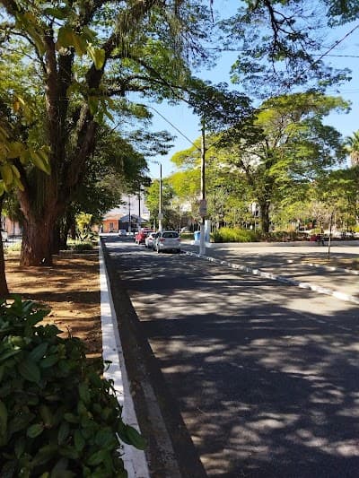 Toninho Lanches - Foto 4
