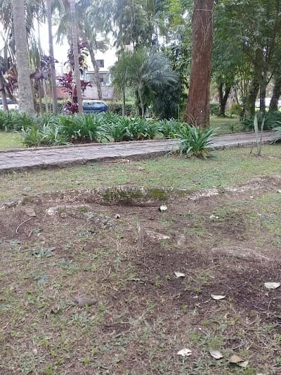 RU Agrárias UFPR - Foto 2