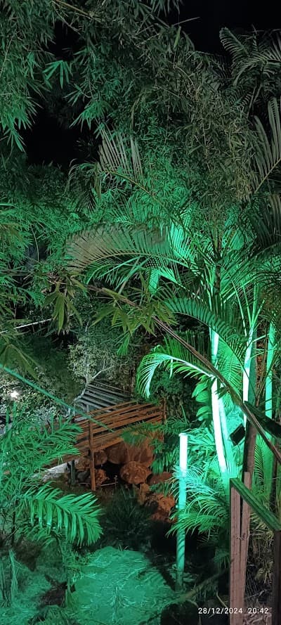 Cachoeira Pizzaria - Foto 10