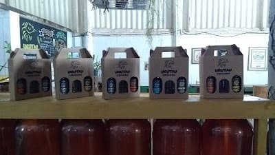 Cervejaria Urutau - Foto 8