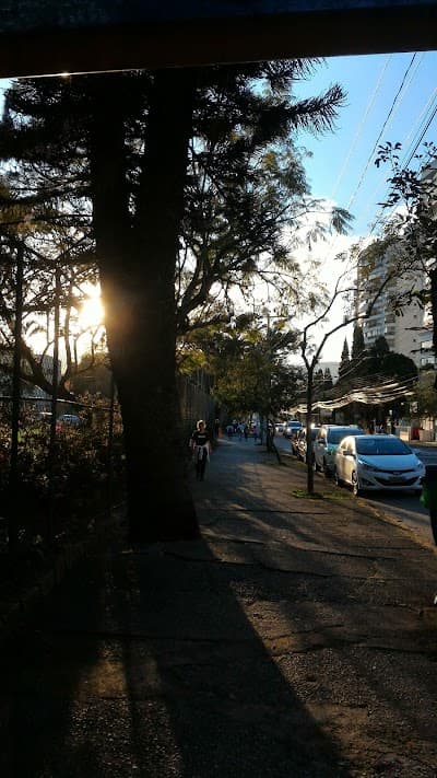 Trindade Lanches e Porções - Foto 6