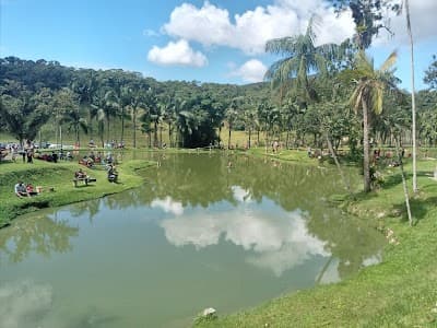 Pesque Pague São Pedro - Foto 2
