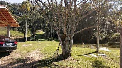 Pesque Pague São Pedro - Foto 7